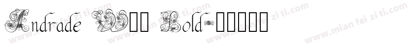 Andrade W01 Bold字体转换